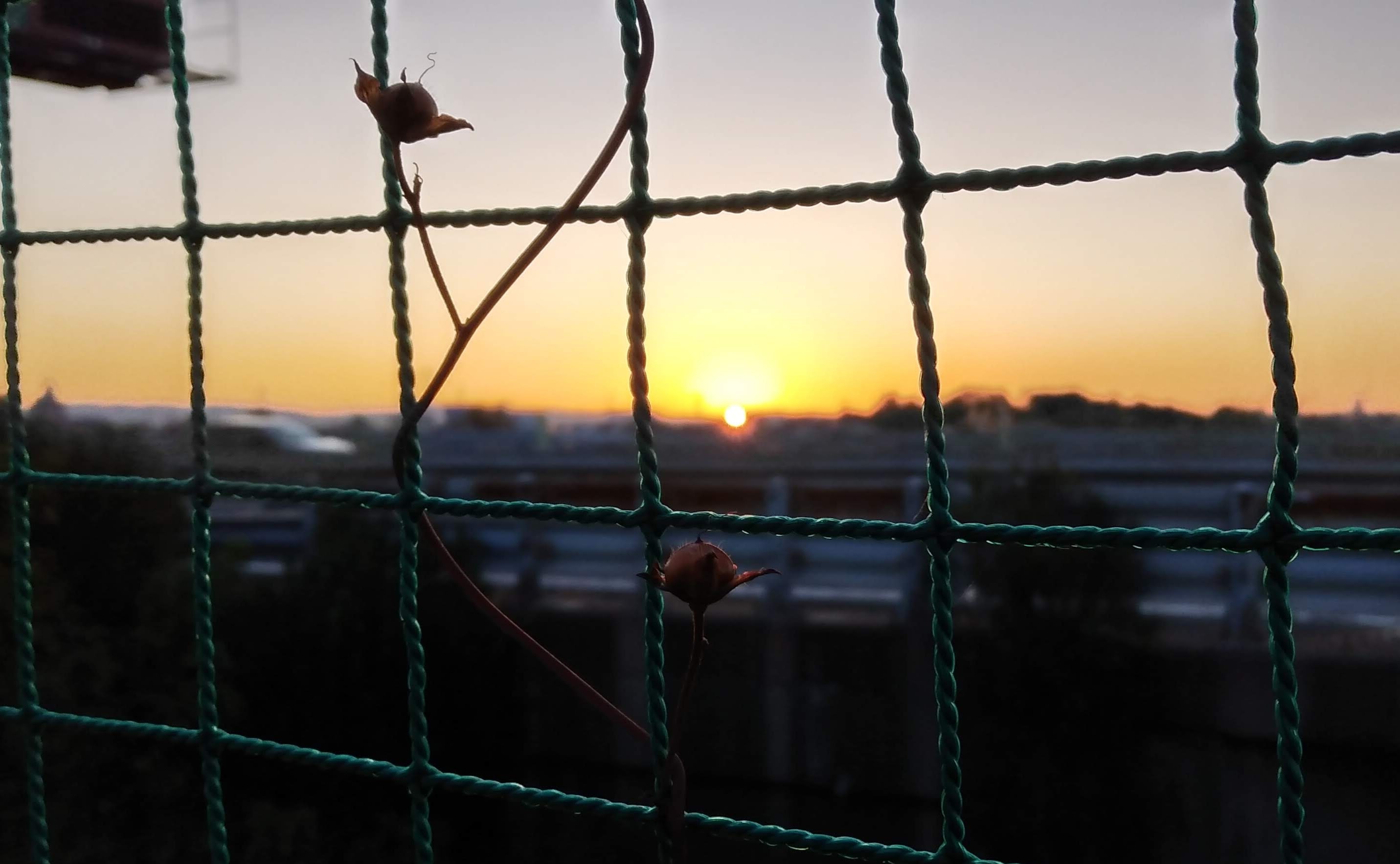 日の出